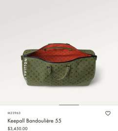 Picture of Louis Vuitton Handbags _SKUfw147277186fw